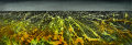 Event Horizon West, acrylic on canvas, 12" x 36", 2011