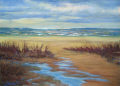 After the Storm, from the Infinite Nature Series by Pat Stanley