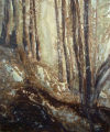 Autumn Light, from the Infinite Nature Series by Pat Stanley