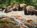 Rapids 2, from the Infinite Nature Series by Pat Stanley