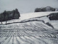 Winter Field, from the Infinite Nature Series by Pat Stanley